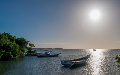 Marca Venezuela