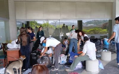 Nos unimos para apoyar a quienes más nos necesitan. Recolectamos 13 toneladas de ayuda humanitaria para los afectados por el doble terremoto